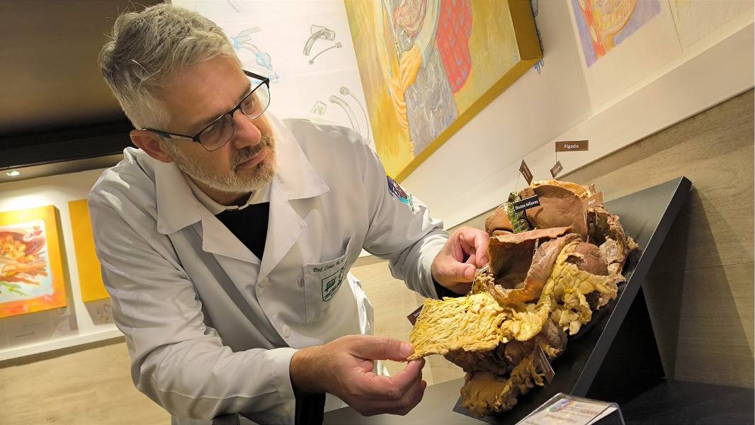 Museu do Corpo Humano da FMJ abre agendamentos para a temporada 2026
