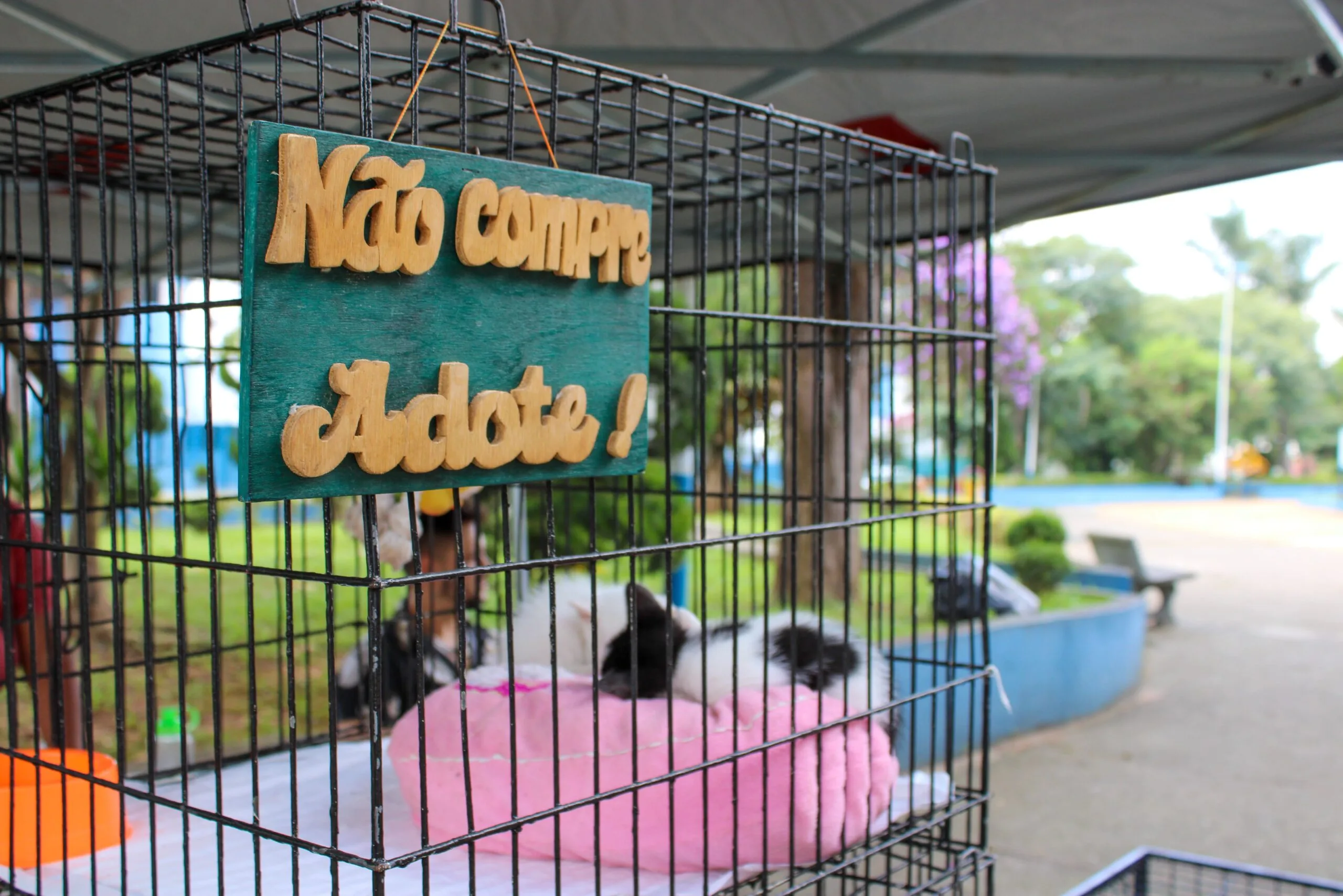 Maxi Shopping Jundiaí recebe feira de adoção de animais neste sábado