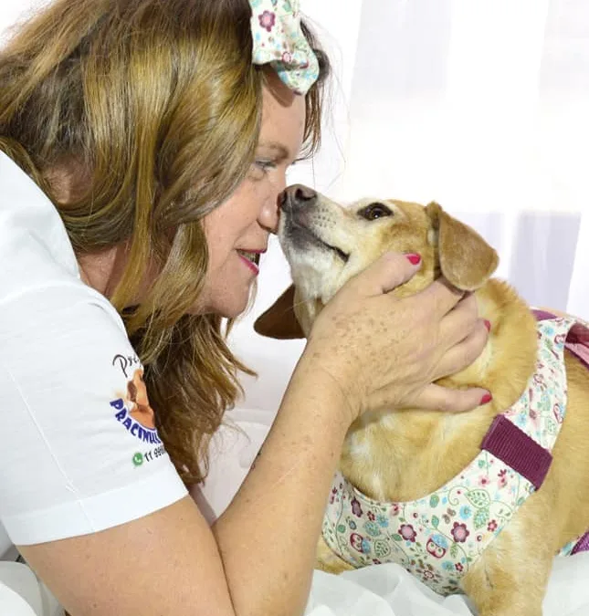 Morre aos 16 anos a cadela Lilica, fundadora simbólica da Pracinha dos Dogs